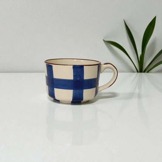 Ceramic mug with blue and beige checkered pattern on a white surface with a plant in the background