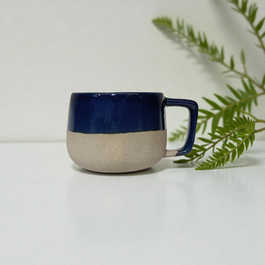 Ceramic mug with blue top and beige bottom on a white background with a plant.