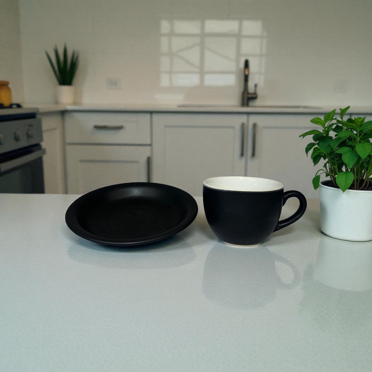 Black plate and mug on a kitchen counter with plants and cabinets in the background
