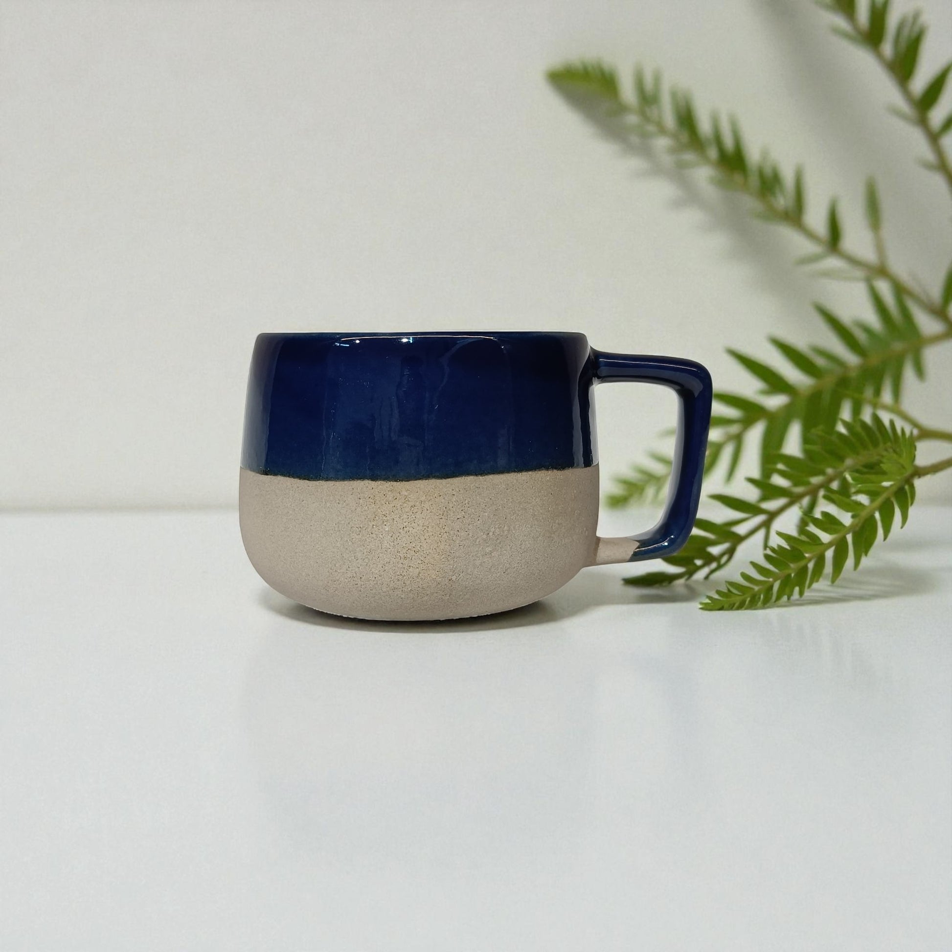 Ceramic mug with blue top and beige bottom on a white background with a plant.