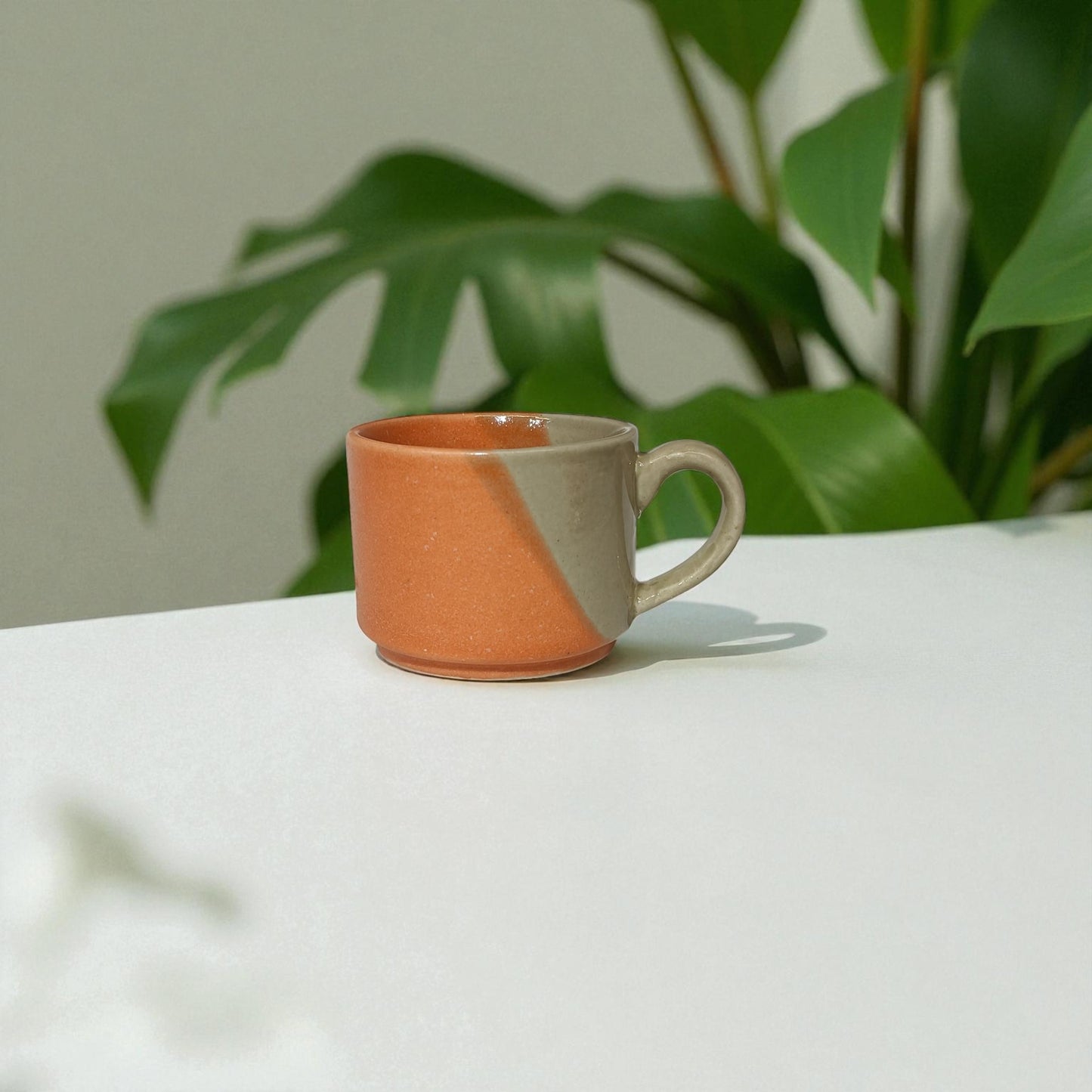 Ceramic mug with two-tone design on a white surface with green leaves in the background