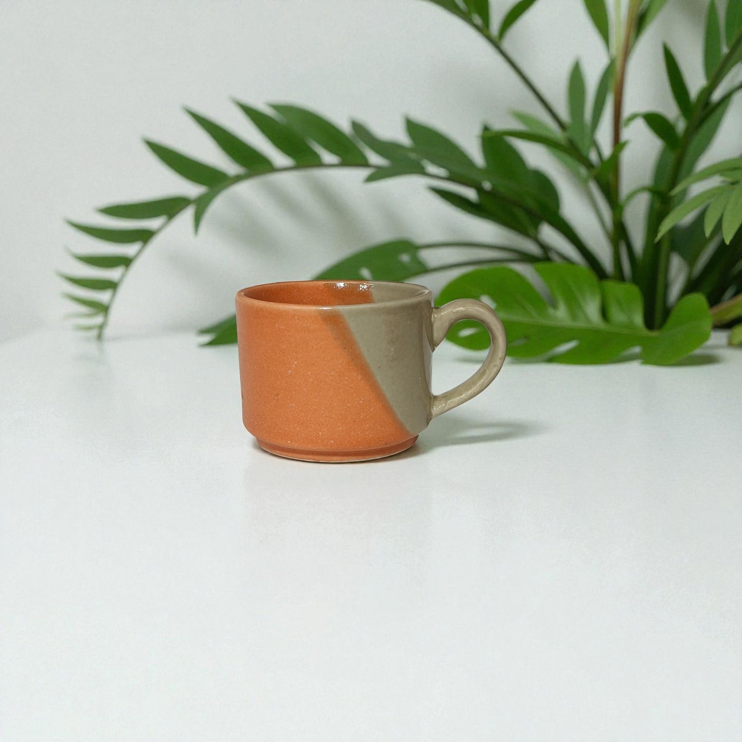 Ceramic mug with two-tone design on a white surface with green leaves in the background