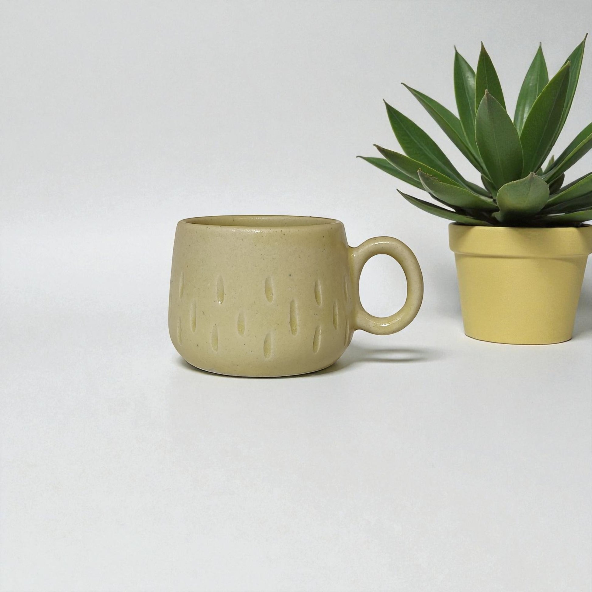 Green ceramic mug and potted plant on a white background