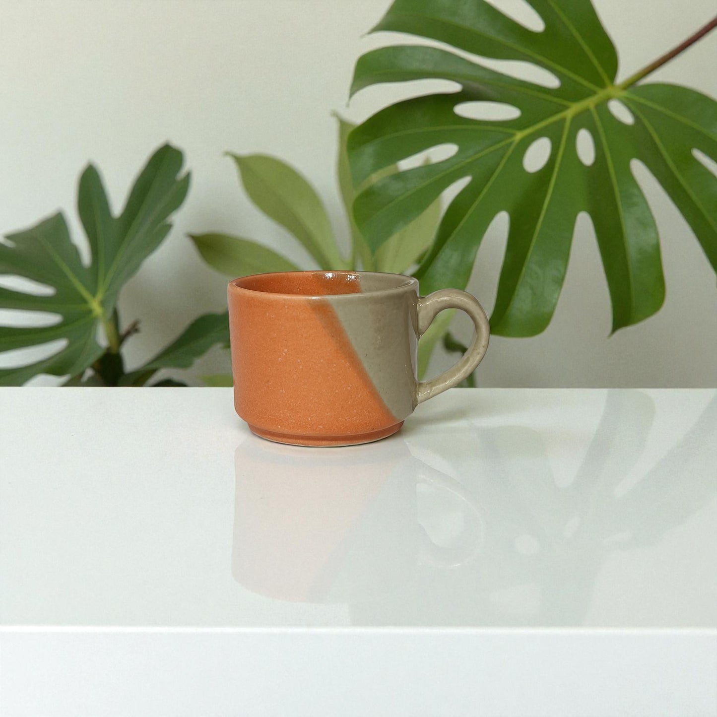 Two-tone ceramic mug on a white surface with green leaves in the background