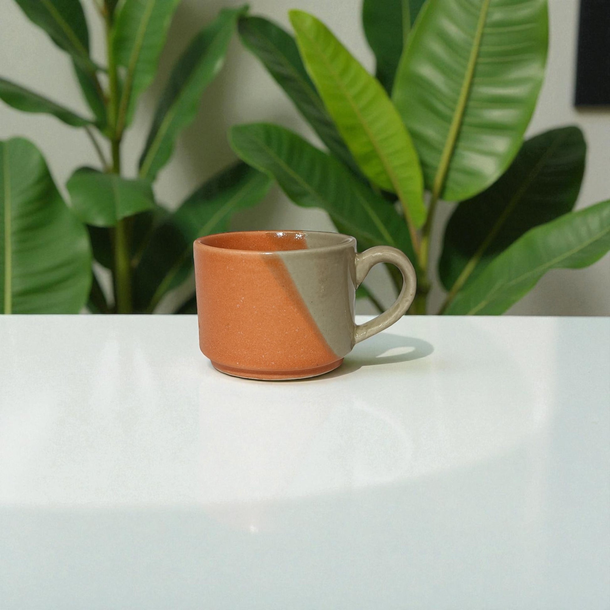 Two-tone ceramic mug on a white surface with green plants in the background