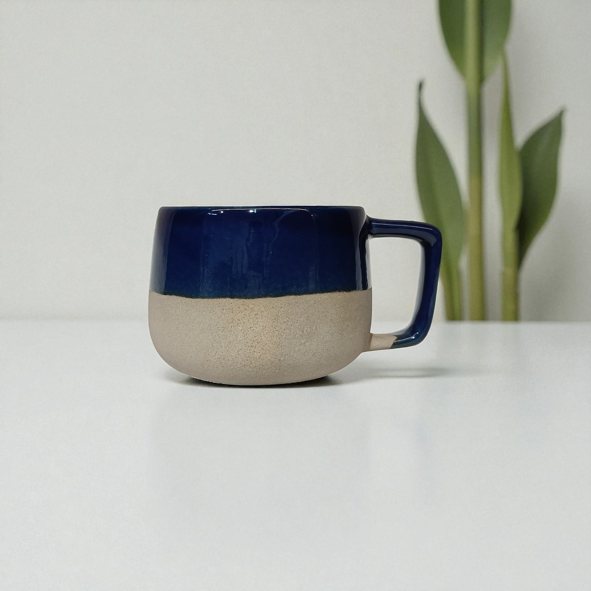 Two-toned ceramic mug with blue top and beige bottom on a white surface with a plant in the background.